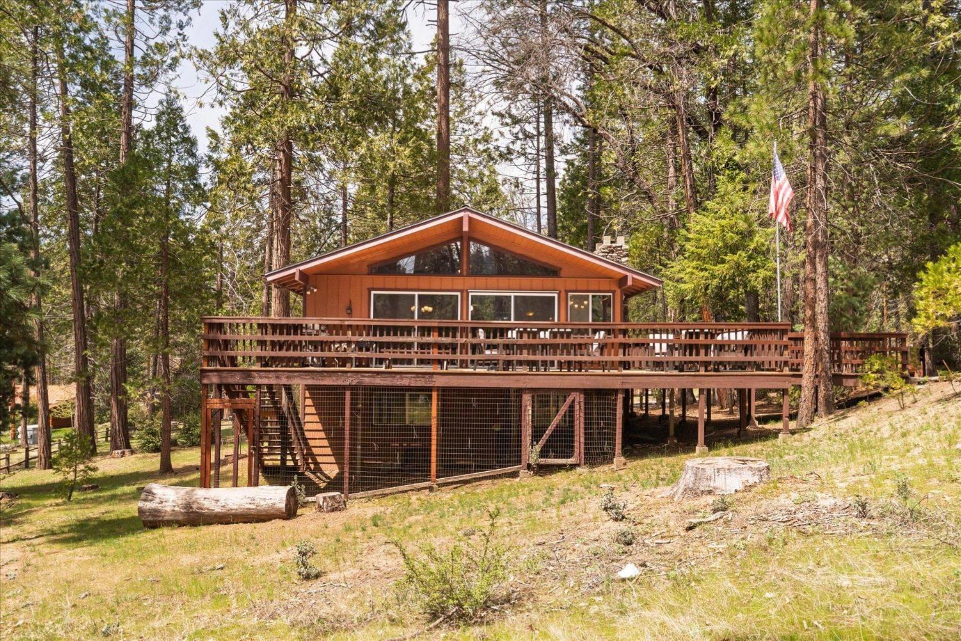 Papa Bear North Wawona
